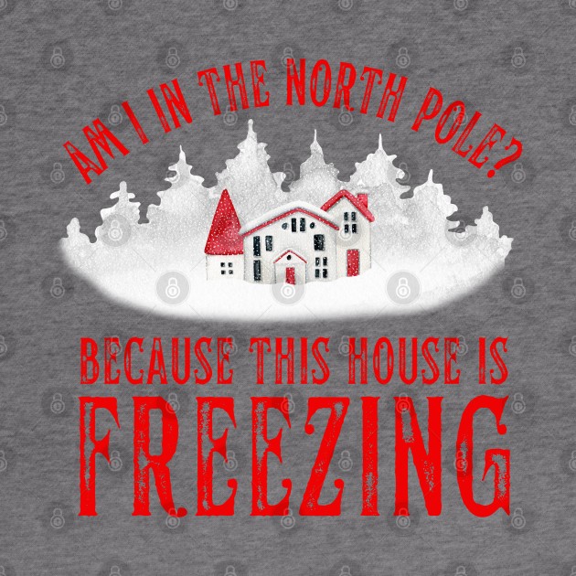 Am I In the North Pole This House is Freezing by MalibuSun